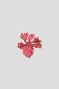 Jireh Brooch in Fuchsia