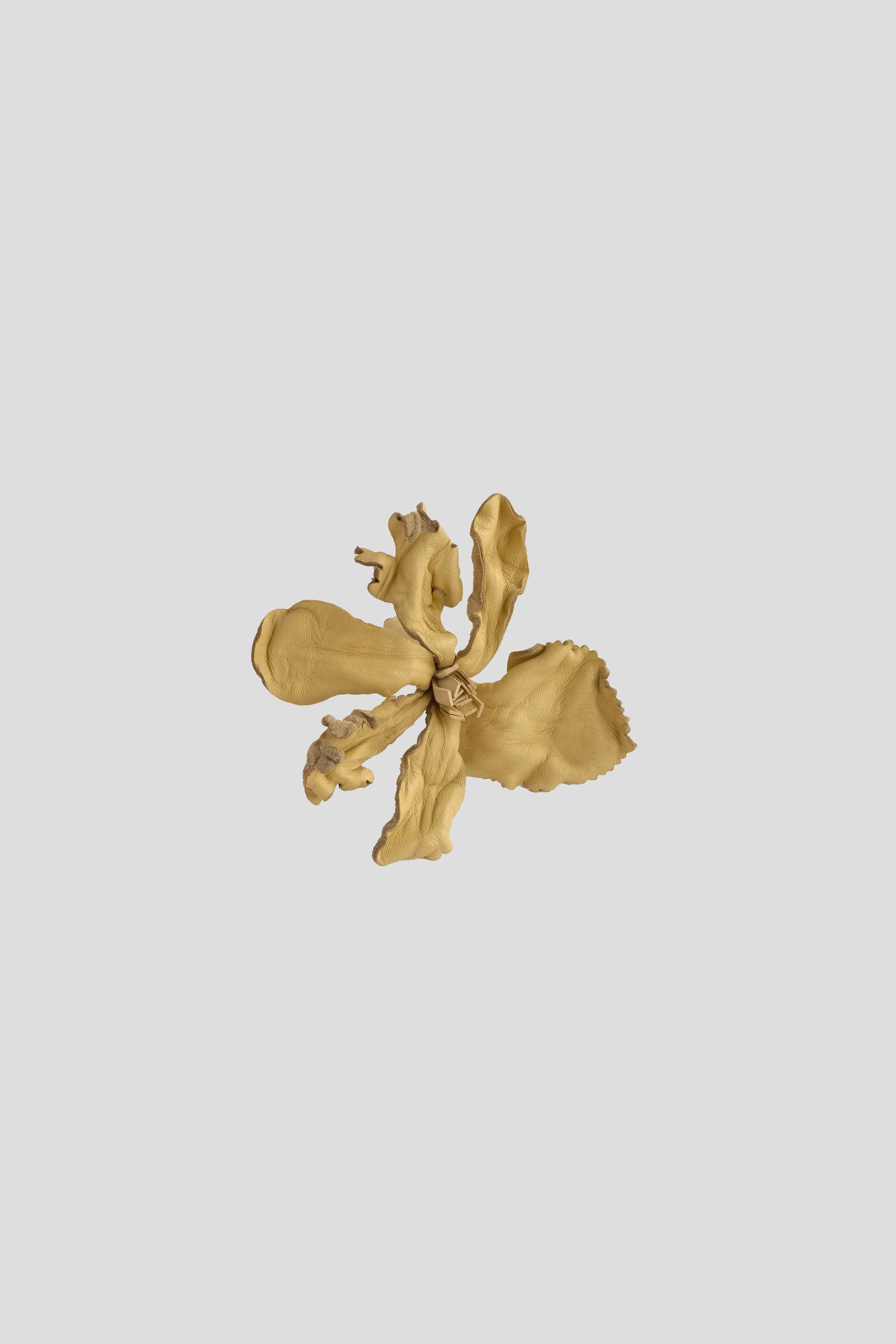 Jireh Brooch in Pastel Yellow