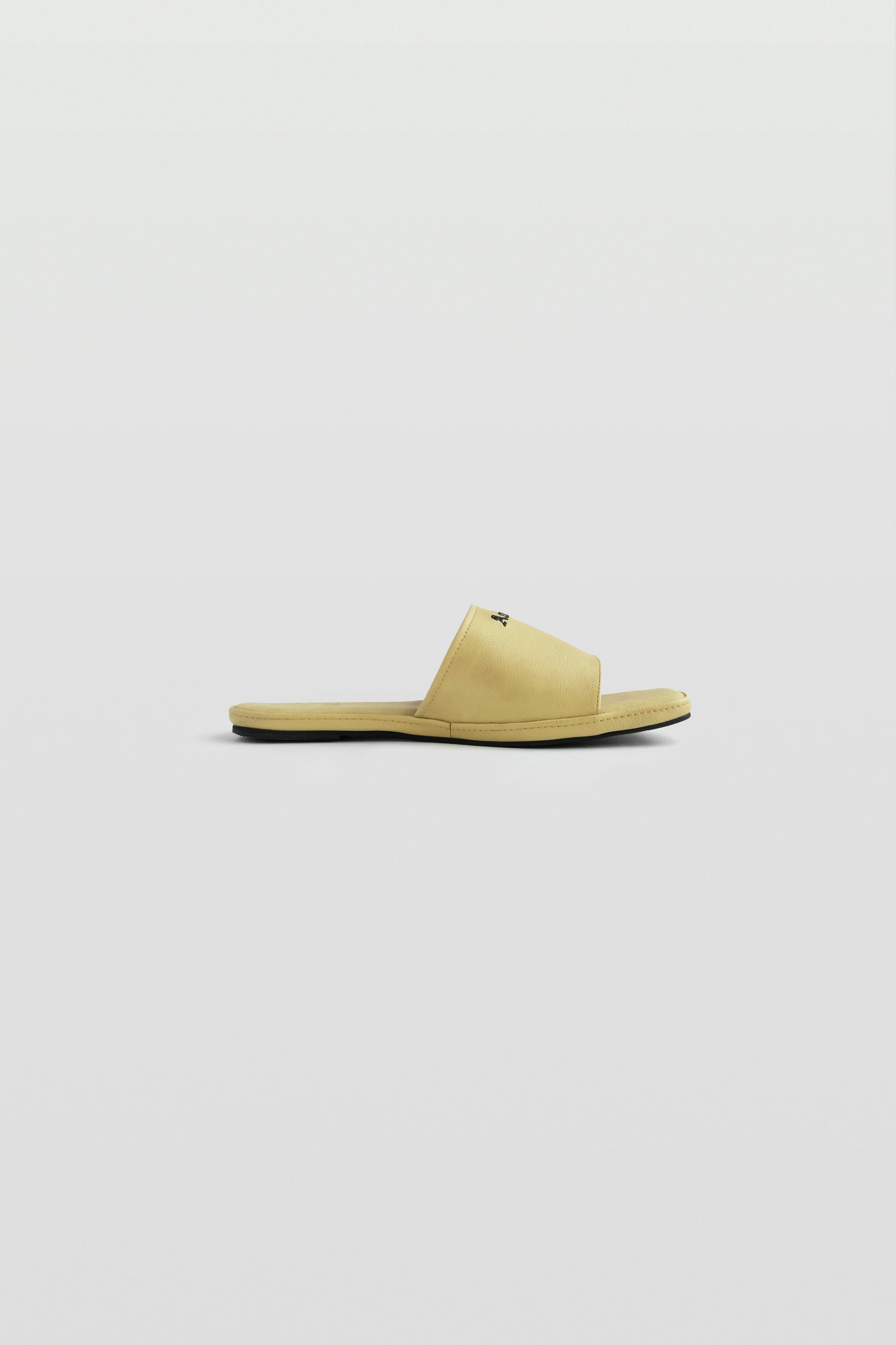 Home Slides